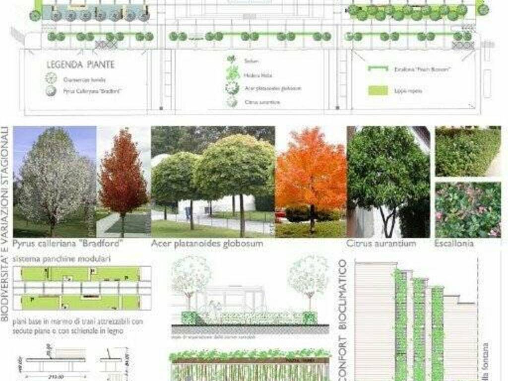 Concorso per la riqualificazione architettonica di Piazza Verdi alla Spezia