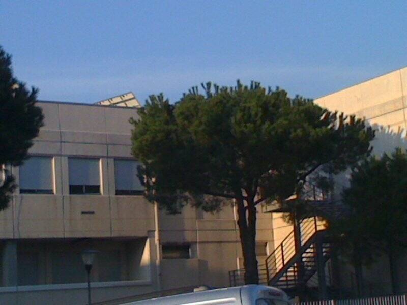 Scuola media Fontana