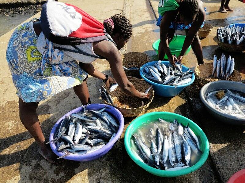 Sao Tomè, le palaiè (venditrici del pesce) si riforniscono di pesce appena pescato