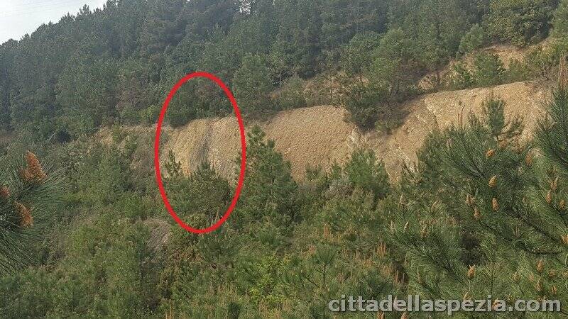 La striscia nera che secondo un consulente degli ambientalisti denota lo scolo del percolato dal versante del Monte Montada