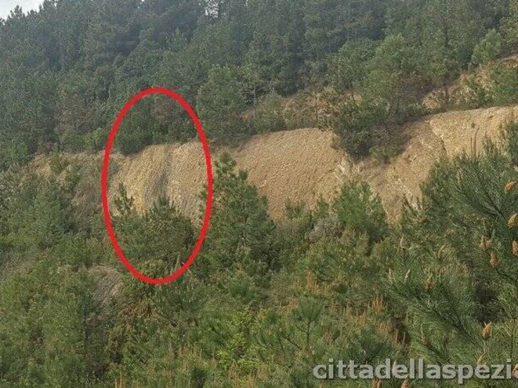 La striscia nera che secondo un consulente degli ambientalisti denota lo scolo del percolato dal versante del Monte Montada