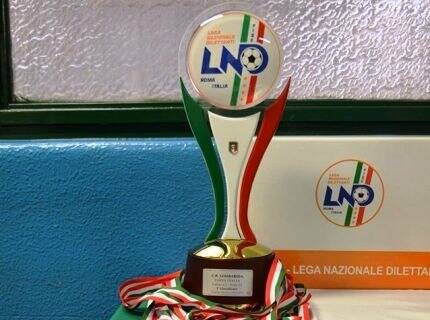 Il trofeo della Coppa Italia di Serie D.