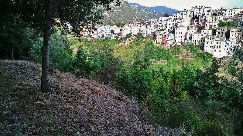 Corniglia vista dal sentiero dei vecchi mulini