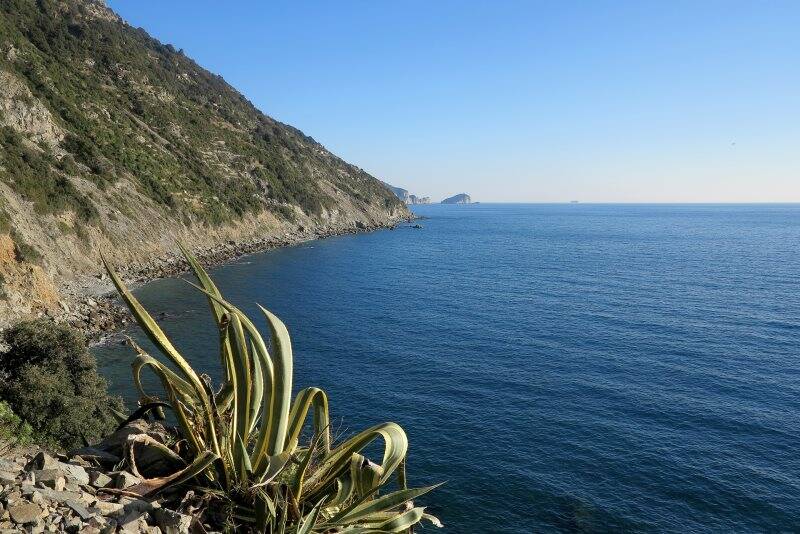 Il Tino e la Palmaria da Tramonti    (2017)    (foto Giorgio Pagano)