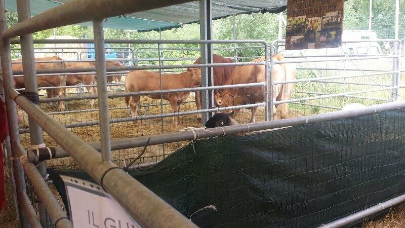 Il festival del biologico di Varese Ligure