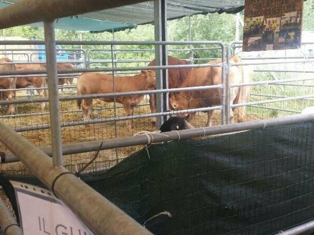 Il festival del biologico di Varese Ligure