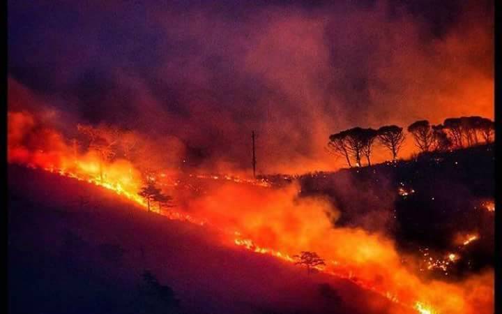 Un'immagine impressionate dell'incendio di Nervi