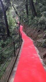 Red carpet