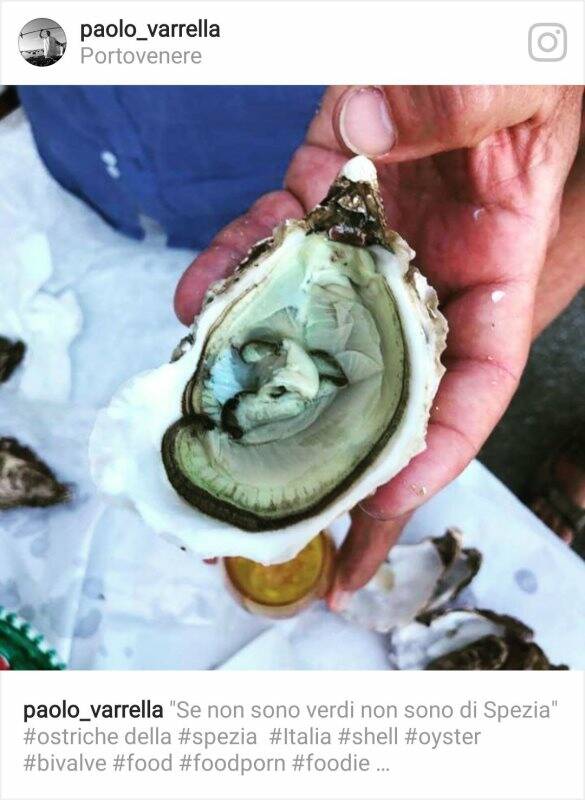 Una spettacolare ostrica verde di Porto Venere