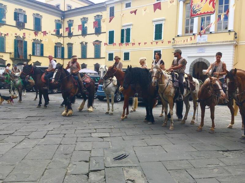 I cavalieri di San Colombano