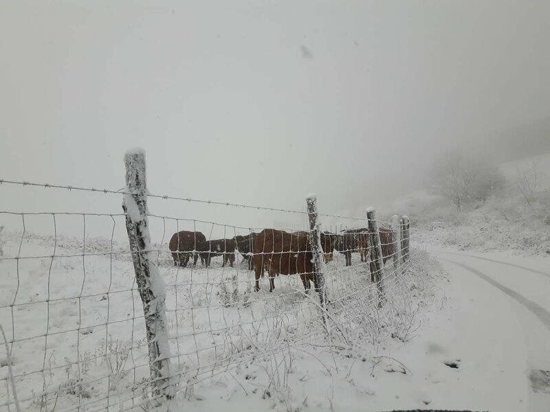 Neve al Passo Cento Croci