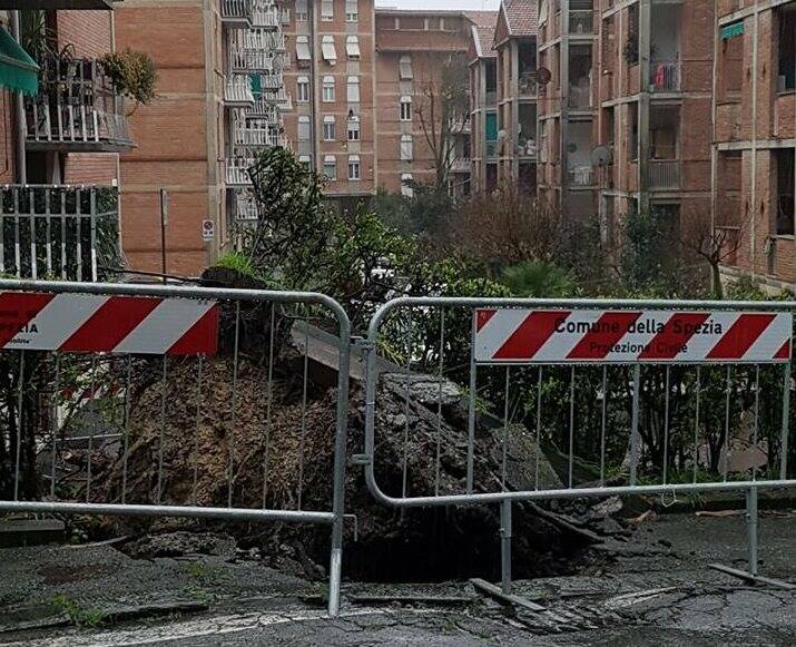 L'albero caduto in Via Mascagni a Fossitermi