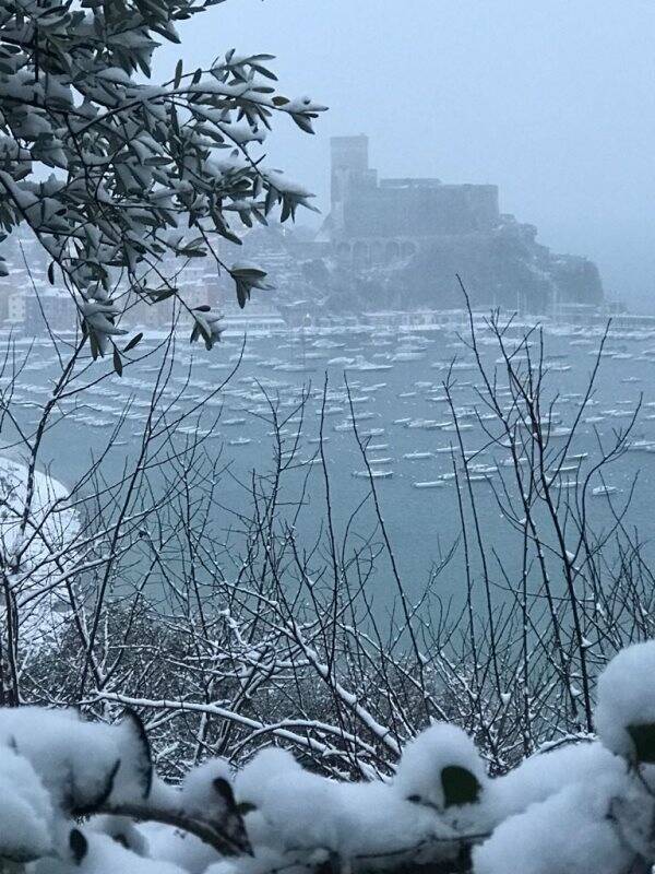 Lerici