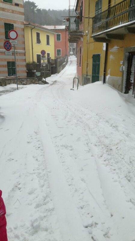 Neve a Campiglia