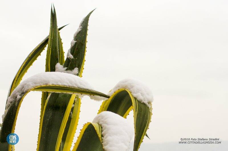 Neve e Mare