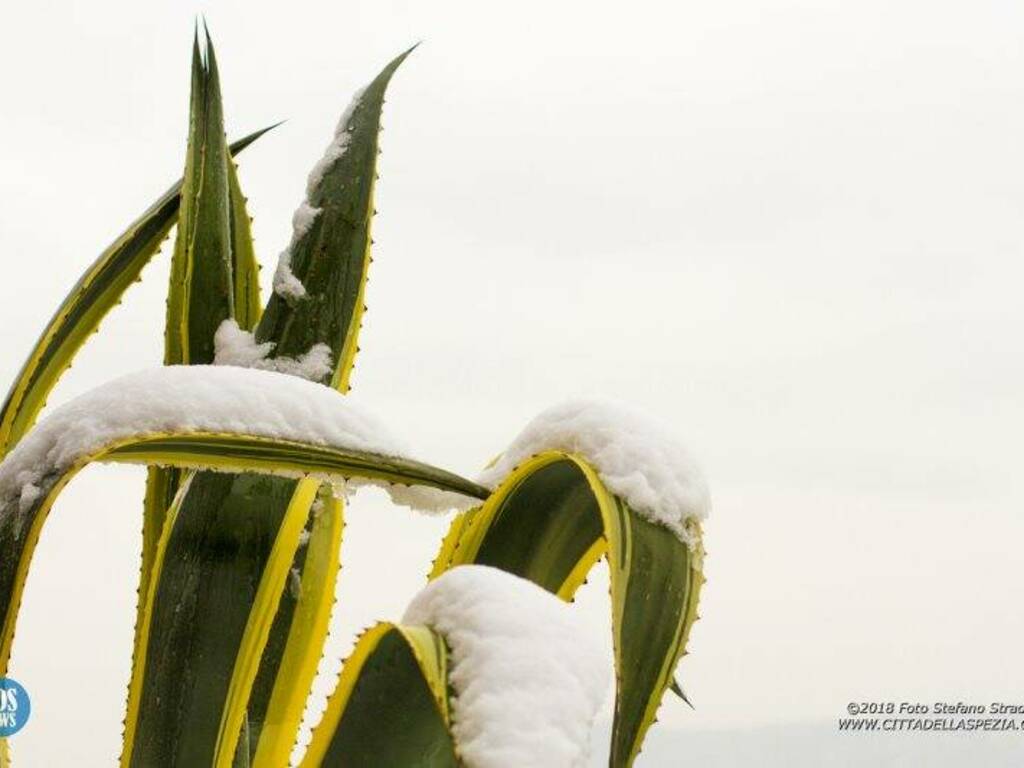 Neve e Mare