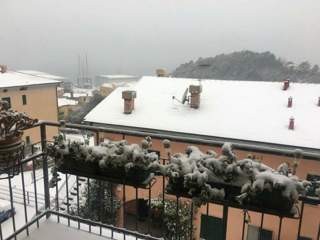 Ruffino innevato