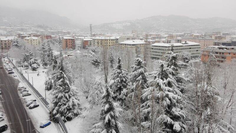 Viale Italia a Migliarina