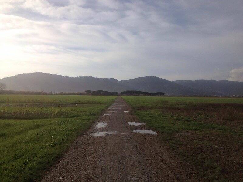 Tenuta di Marinella