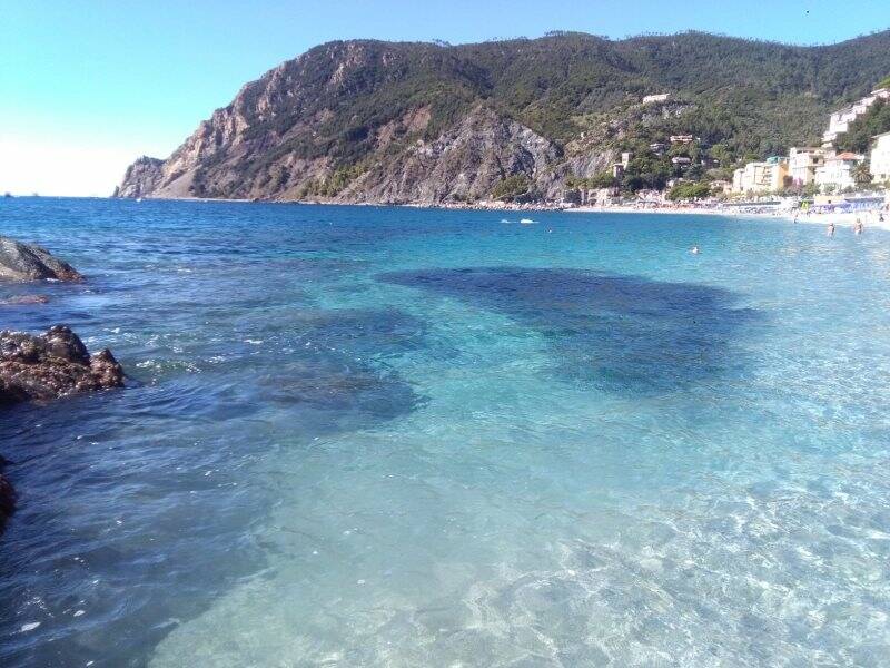 Le acciughe fanno il pallone a pochi metri dalla spiaggia di Monterosso