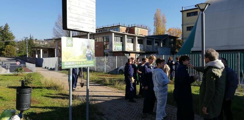 Venti alberi per lo skate park di Sarzana