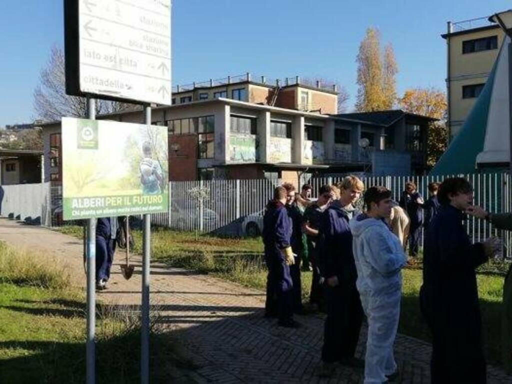 Venti alberi per lo skate park di Sarzana