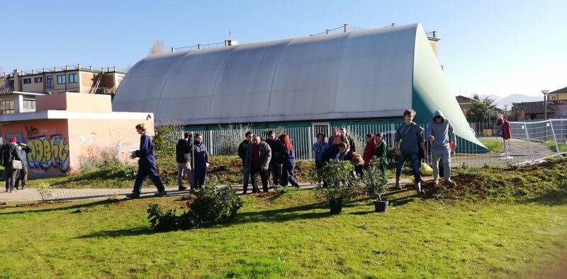 Venti alberi per lo skate park di Sarzana