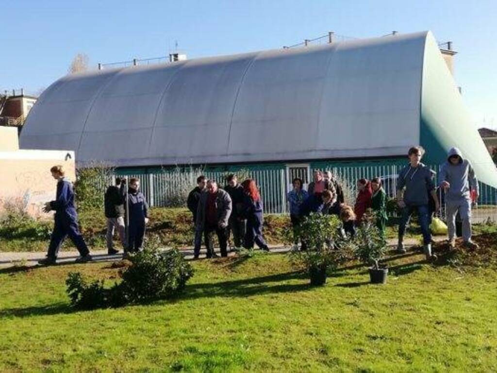 Venti alberi per lo skate park di Sarzana