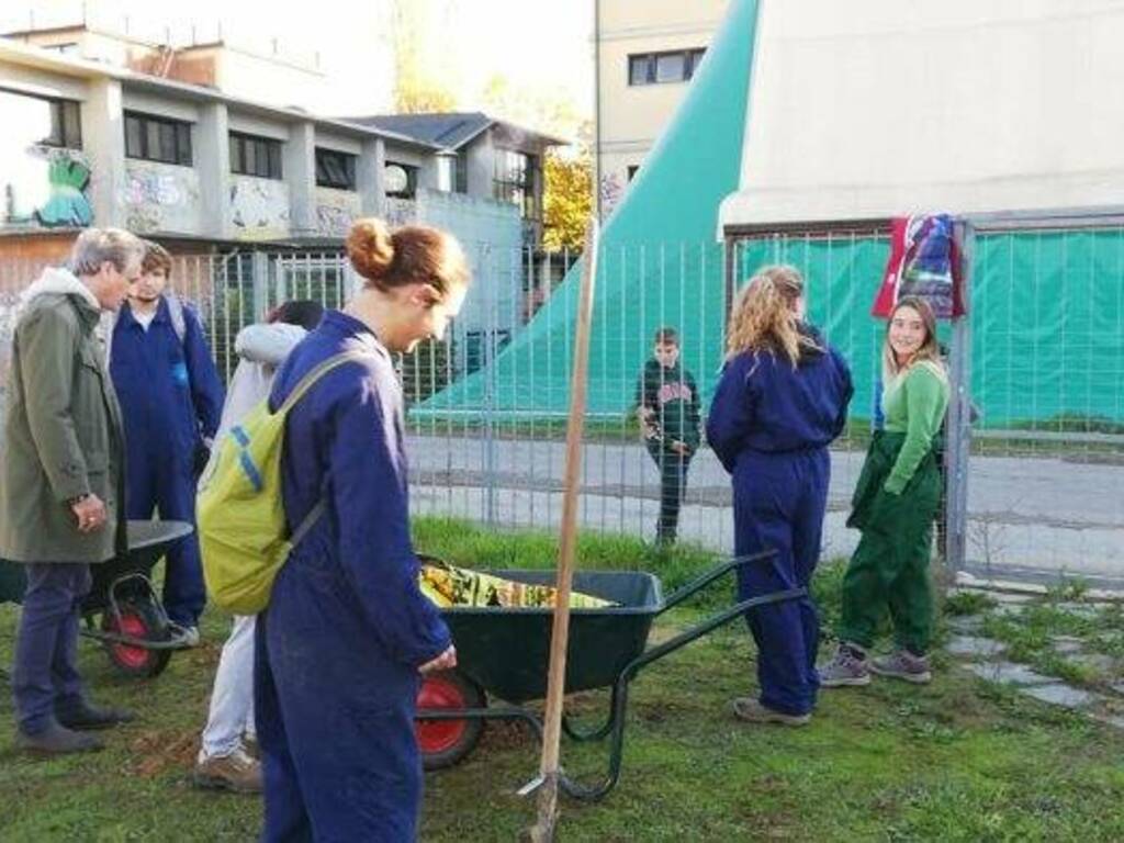 Venti alberi per lo skate park di Sarzana