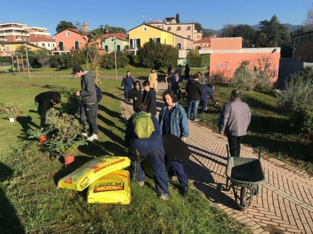 Venti alberi per lo skate park di Sarzana