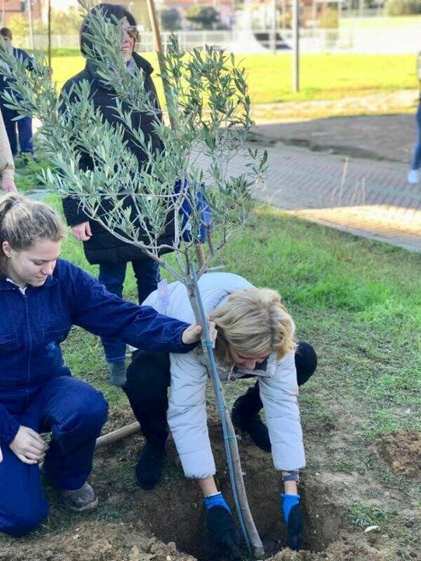 Venti alberi per lo skate park di Sarzana