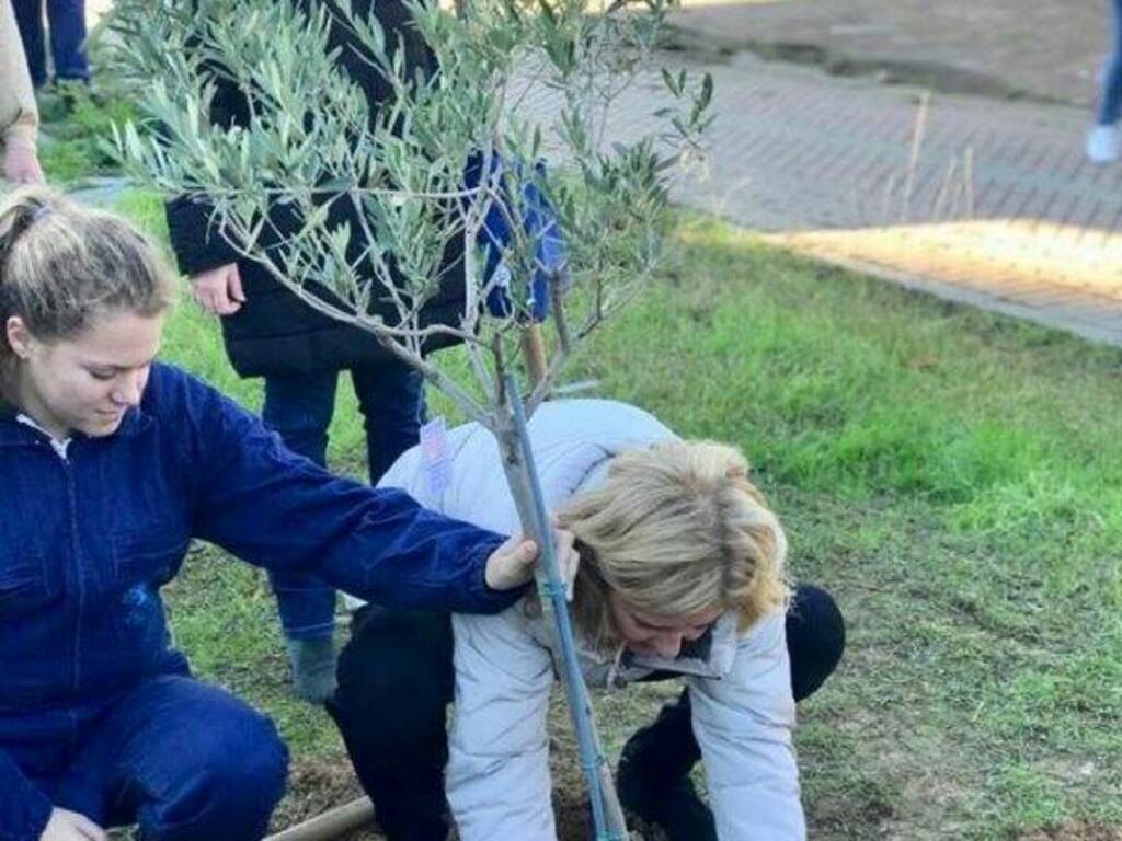 Venti alberi per lo skate park di Sarzana