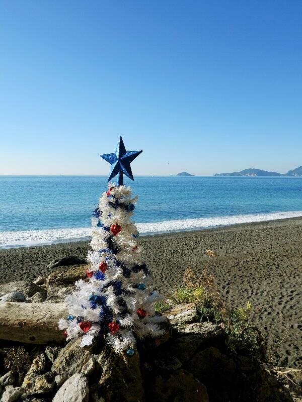 Albero di Natale nella spiaggia di Punta Corvo (2015)