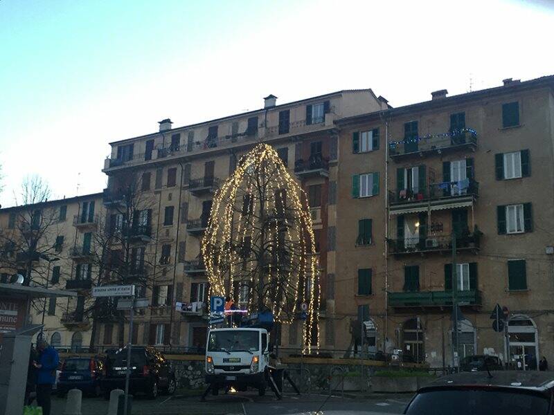 L'albero di Natale di Pegazzano