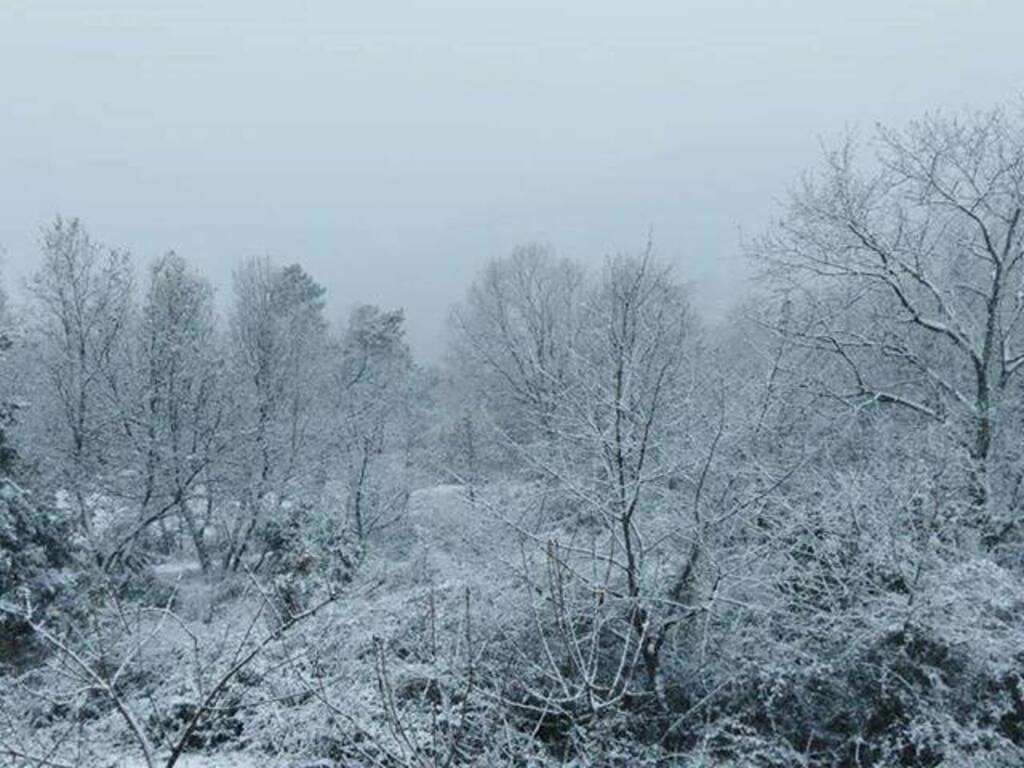 Neve a Mattarana