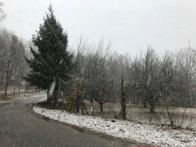 Primi fiocchi di neve a Giorgione di Castelnuovo Magra