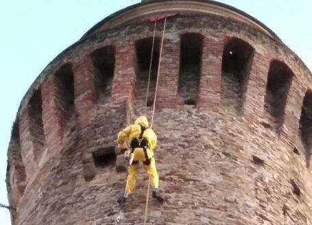 Disinfestazione Torre del Guinigi