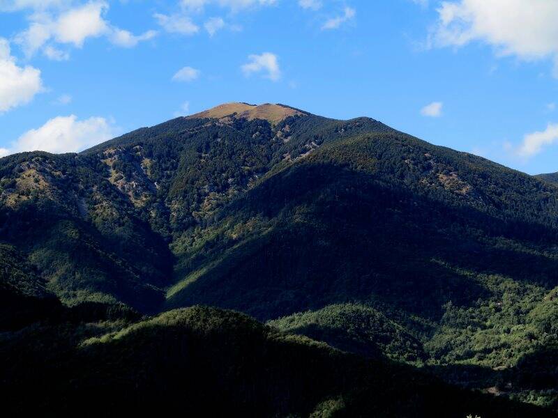 Monte Gottero, veduta da Antessio (2017) 