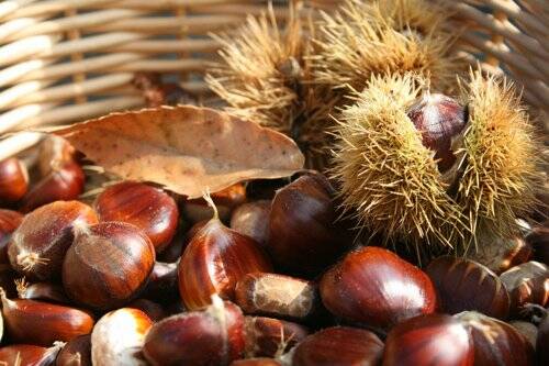 Castagne