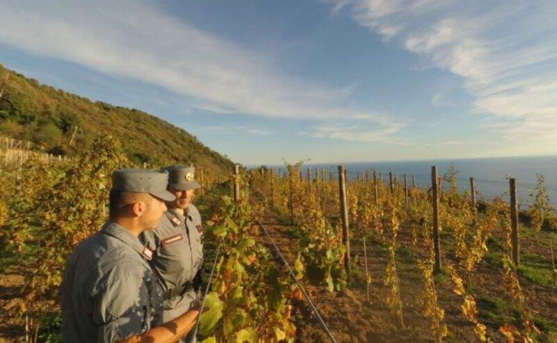 I carabinieri forestali tra i vigneti delle Cinque Terre