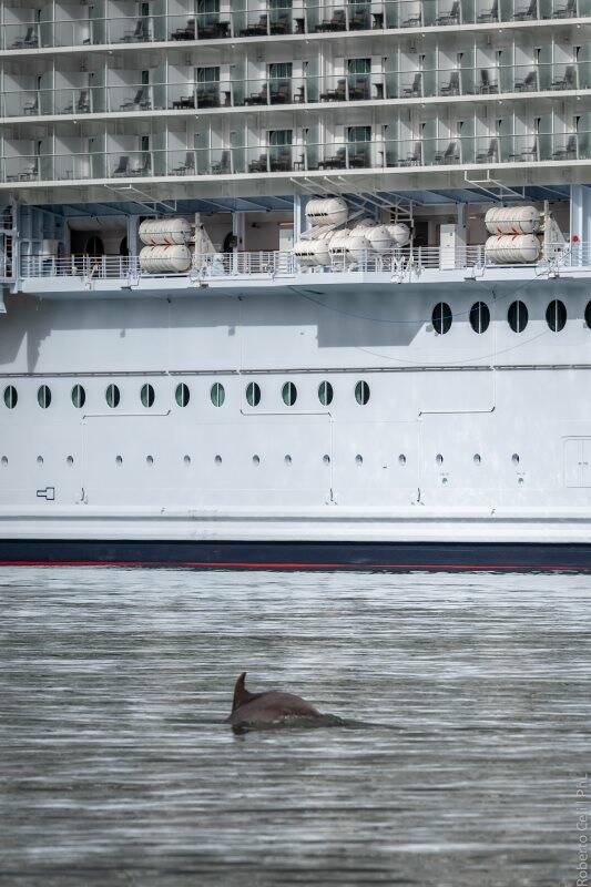 La Spezia, nave da crociera (2018) 