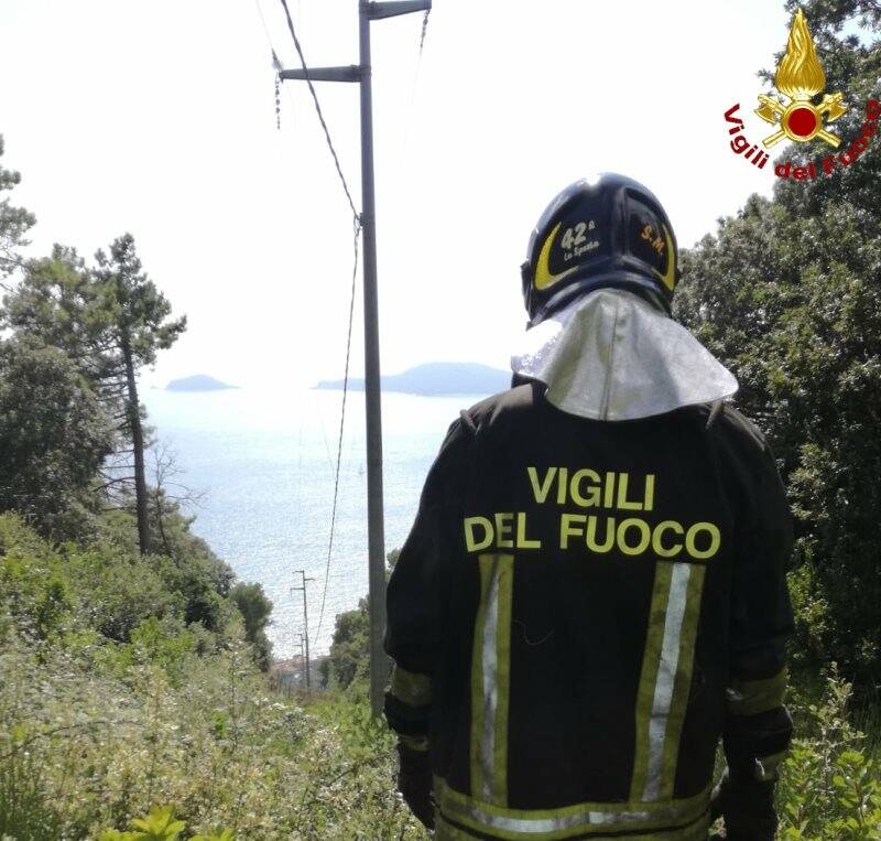 Vigili del Fuoco in azione