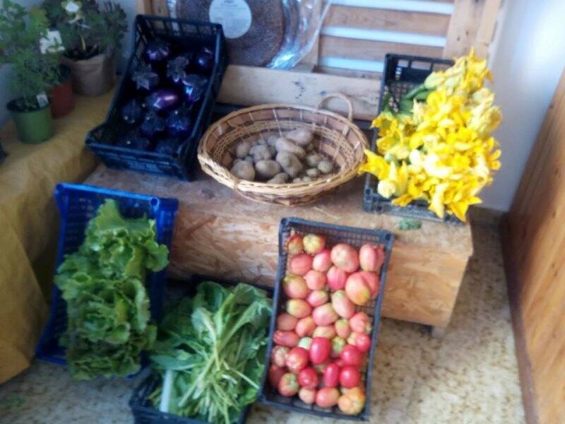 La bottega di Evergreen alla Serra