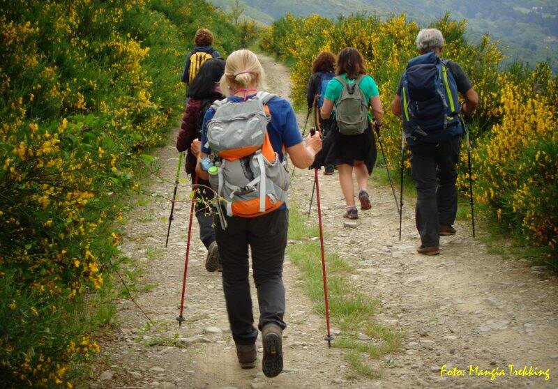 Mangia Trekking, in cammino