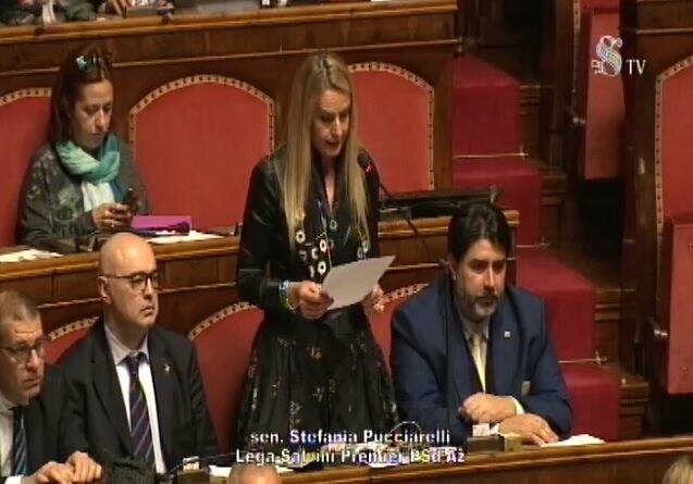 Stefania Pucciarelli in Senato