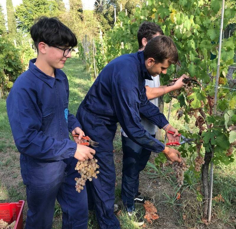 Studenti dell'istituto agrario Arzelà