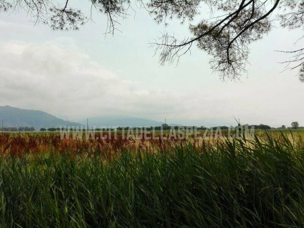 Tenuta di Marinella