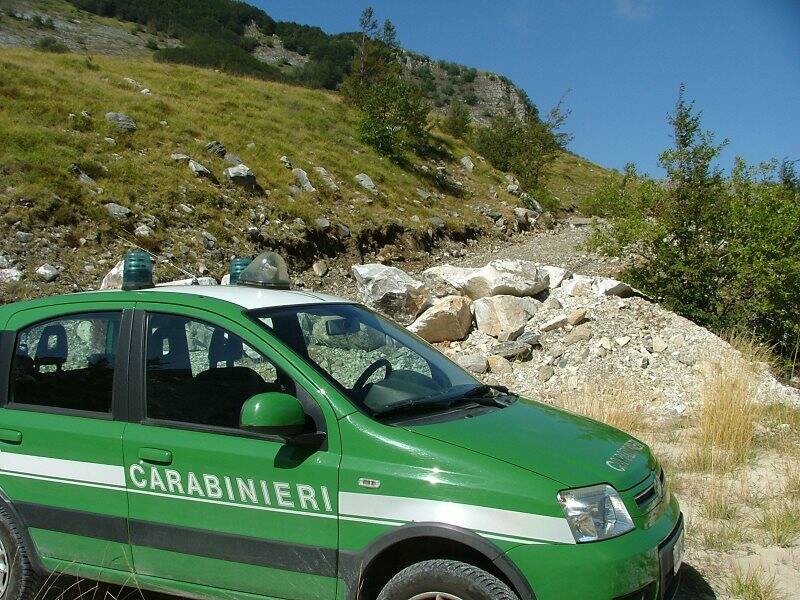 Carabinieri Forestali