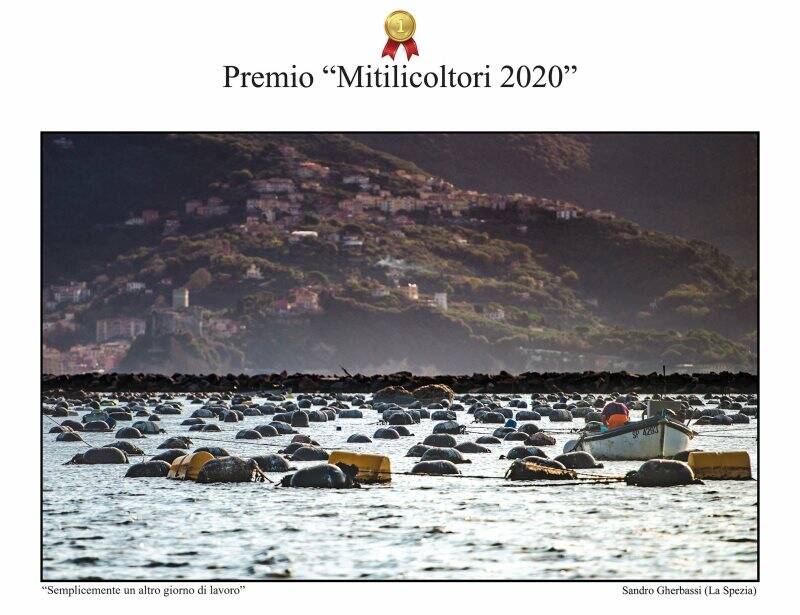 Lo scatto vincitore del "Premio fotografico nazionale mitilicoltori della Spezia" 2020