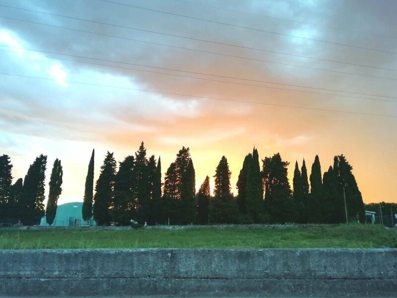 Cipressi lungo il Calcandola